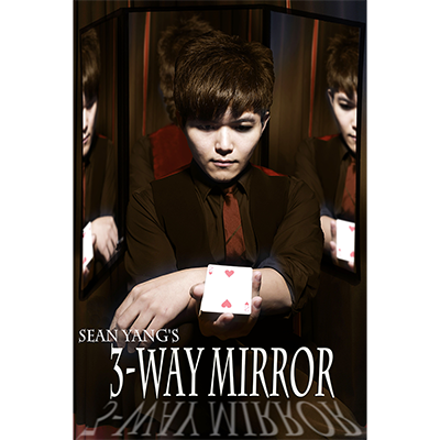 3-Way Mirror