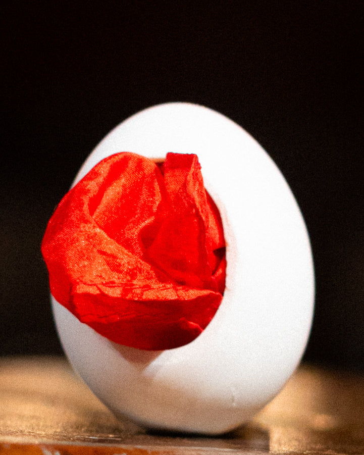 SILK TO EGG: DELUXE